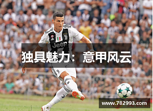 独具魅力：意甲风云